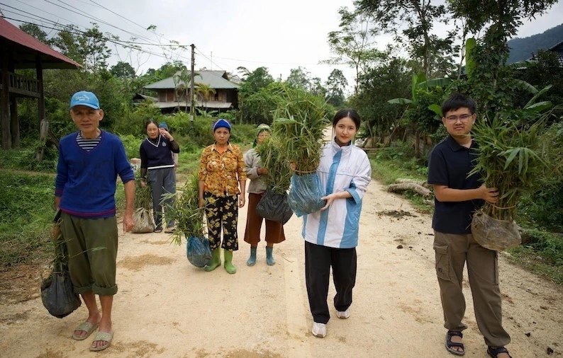 Hai thành viên dự án “Tre cùng bản làng” Phạm Lê Tuệ Quân và Lê Ngọc Đăng Dương cùng người dân vận chuyển tre non lên khu vực trồng giữa núi rừng Bát Mọt. Ảnh: CTV