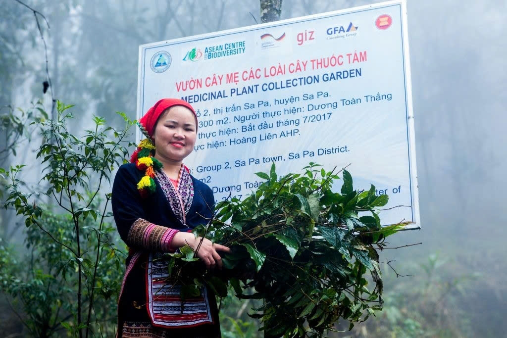 Thuốc tắm của người Dao đỏ không chỉ đơn thuần chăm sóc sức khỏe mà còn là bản sắc văn hóa của đồng bào dân tộc thiểu số vùng Tây Bắc