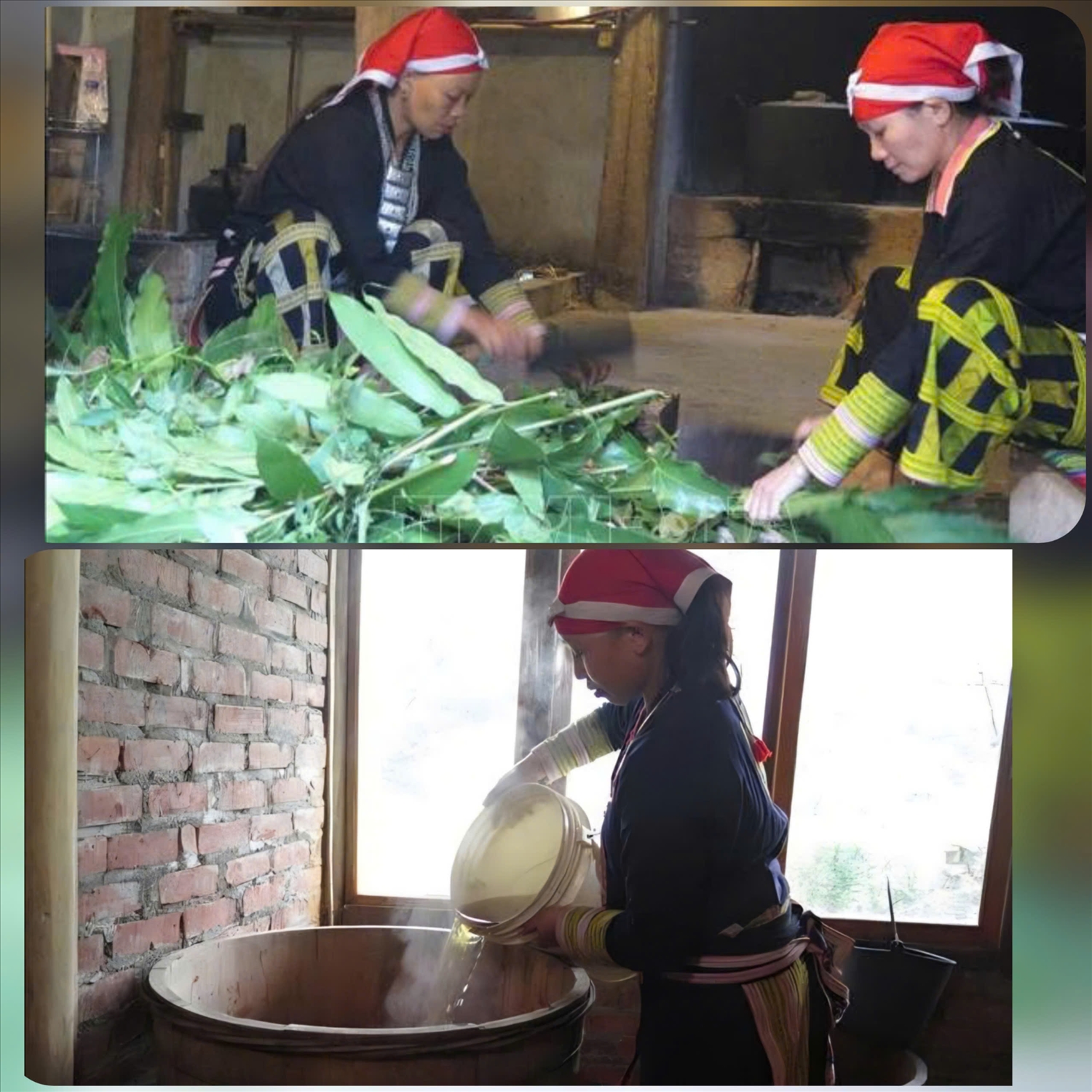 Sơ chế thuốc tắm của ngườiDao đỏ cho khách du lịch trải nghiệm tại Sa Pa (Lào Cai)