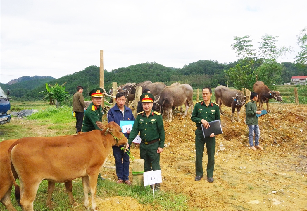 Theo Đại tá Nguyễn Văn Giá, mỗi hộ tham gia dự án được đơn vị cấp cho 02 con bò giống hoặc 02 con trâu giống để chăn nuôi phát triển sản xuất từng bước nâng cao thu nhập giúp giảm nghèo và phát triển kinh tế - xã hội tại địa phương