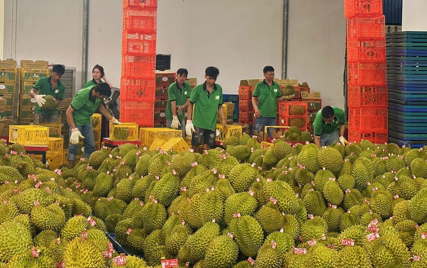 Xuất khẩu thủy sản sang Mỹ 10 tháng đầu năm đạt hơn 1,7 tỷ USD (Ảnh IT)