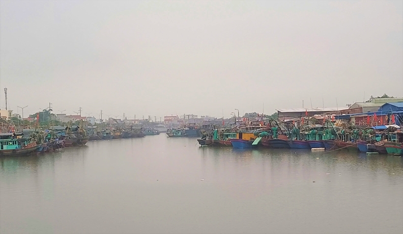 Nhiều địa phương có biển đang tích cực chống khai thác hải sản bất hợp pháp IUU (Ảnh minh họa)