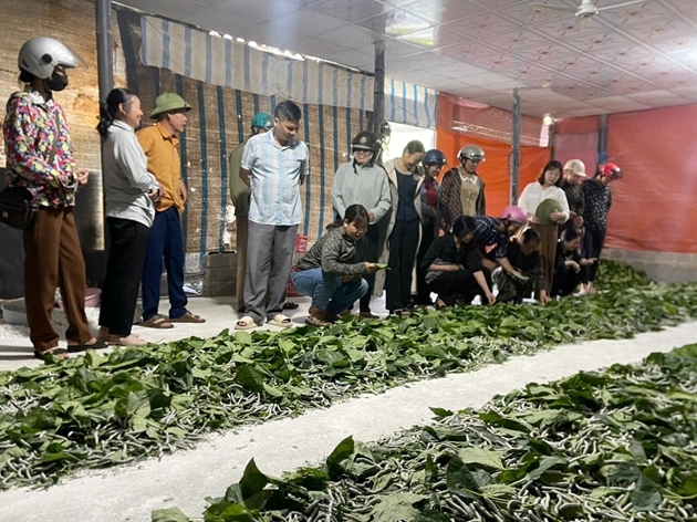 (BÀI CĐ Khuyến nông) Hệ thống khuyến nông hướng đến hiện đại hóa toàn diện, phục vụ thiết thực cho người dân 2