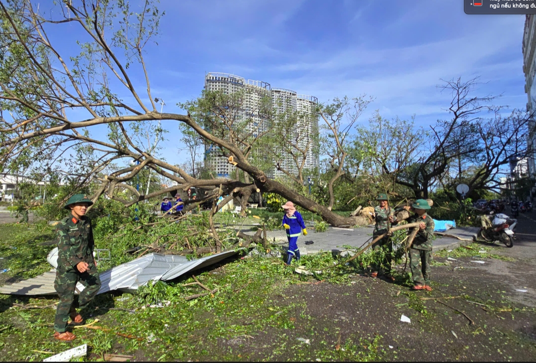 Cán bộ chiến sĩ LLVT Gia Lai dọn dẹp cây xanh gãy đổ sau bão số 13