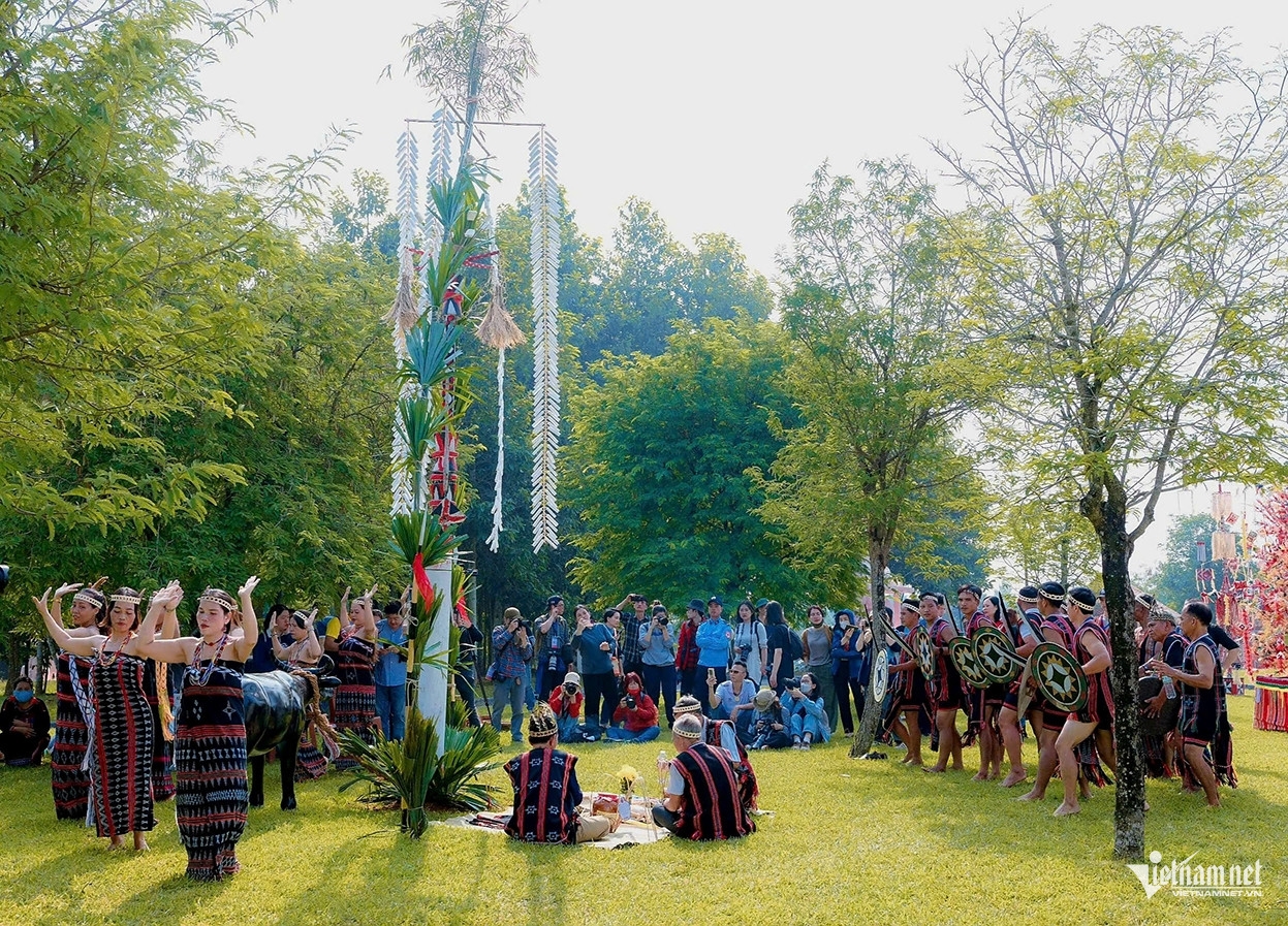 Tái hiện “Lễ ăn trâu mừng lúa mới” của đồng bào dân tộc Cơ Tu tại Đà Nẵng tổ chức năm 2023 (Ảnh: Vũ Mừng)