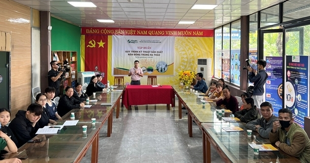 Quang cảnh buổi tập huấn kỹ thuật sản xuất nấm đông trùng hạ thảo tại Phú Thọ (Ảnh TTKNQG)