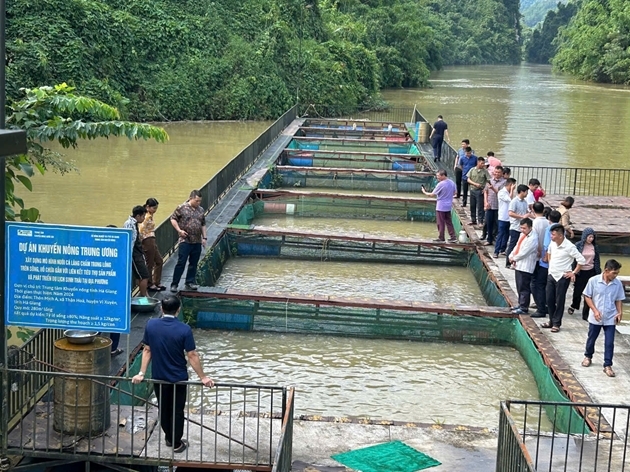 Các học viên tham quan mô hình nuôi cá lăng chấm với du lịch sinh thái tại xã Vi Xuyên (Ảnh TTKN Tuyên Quang)
