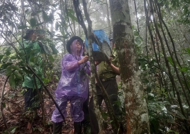 Thanh Hóa tăng cường các hoạt động bảo vệ động vật hoang dã