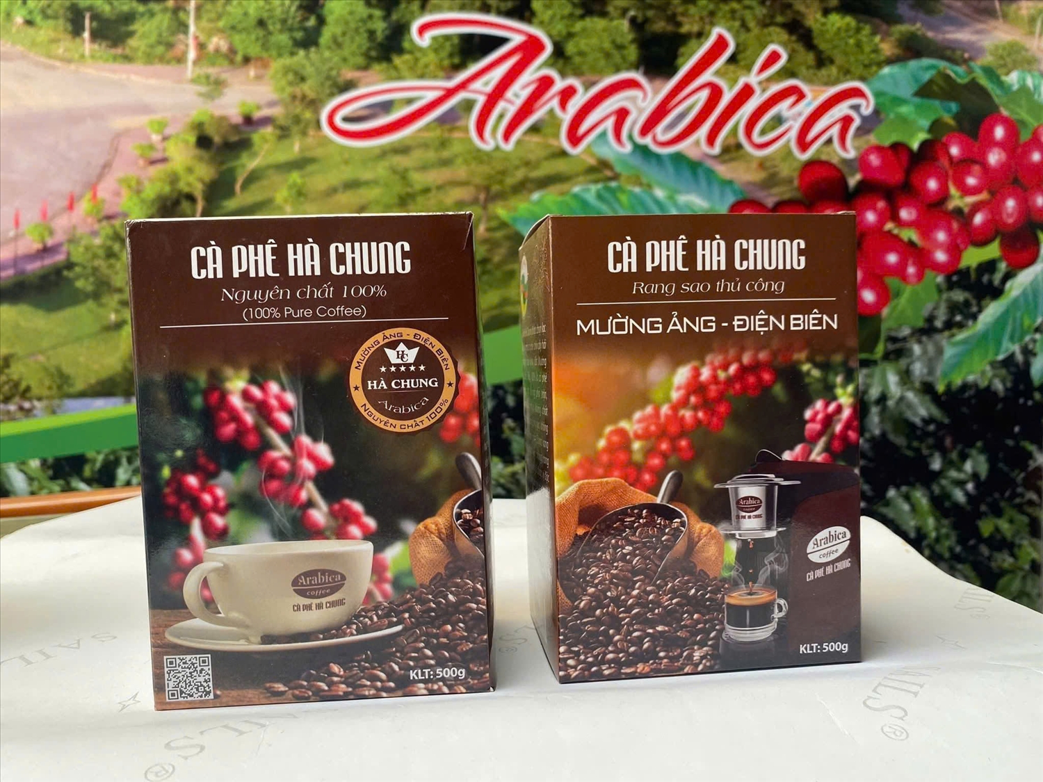 Điện Biên quyết tâm đưa thương hiệu cà phê Arabica vươn xa