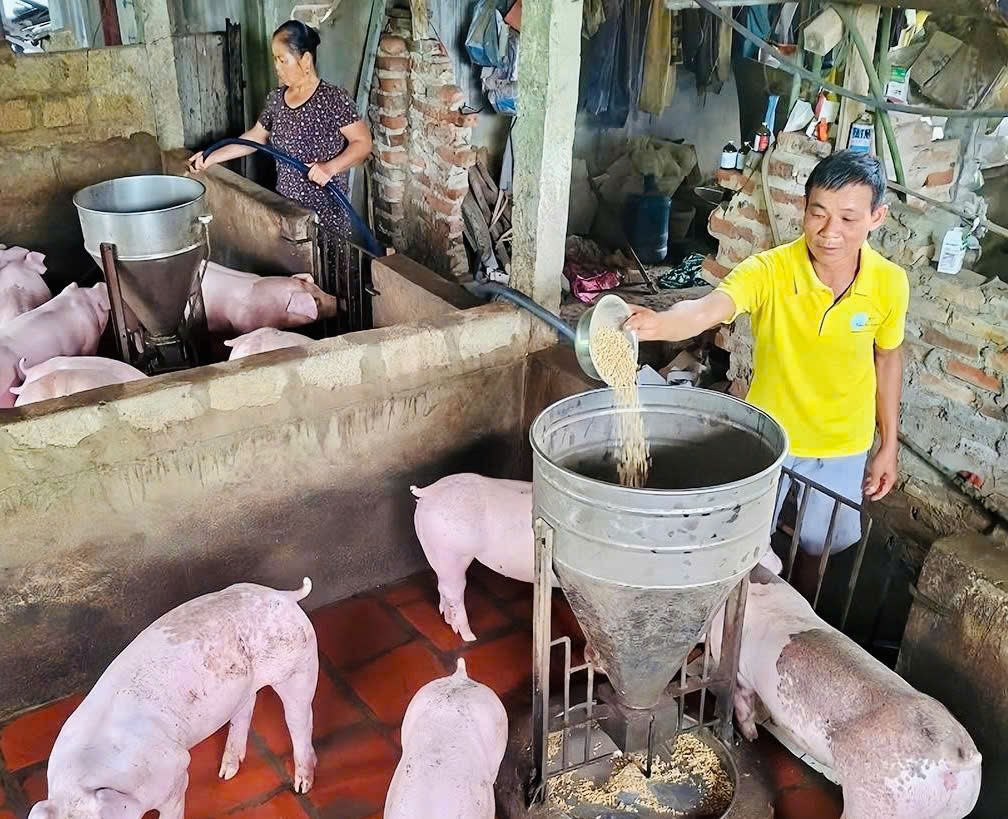 Ông Hoàng Văn Hương, Người có uy tín, Bí thư chi bộ, Trưởng thôn Đồng Cháy, xã Sơn Thủy, tỉnh Tuyên Quang tích cực phát triển kinh tế gia đình