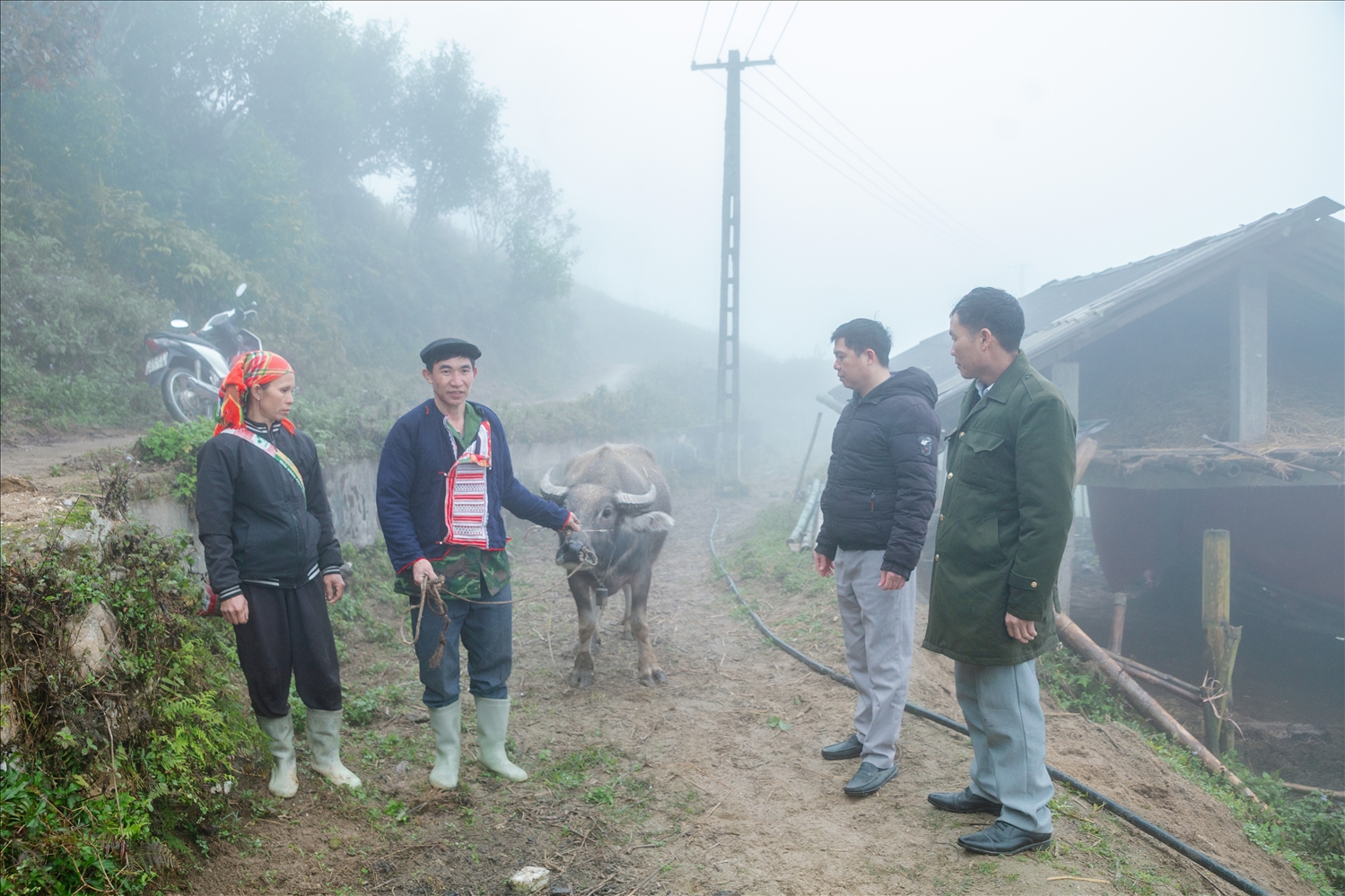 Cán bộ xã Nậm Dịch hướng dẫn cách phòng tránh rét gia súc cho hộ gia đình ông Lý Văn Lìn