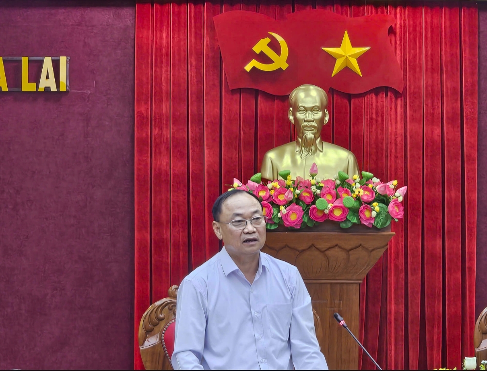 Ông Thái Đại Ngọc, Bí thư Tỉnh uỷ Gia Lai phát biểu tại buổi làm việc. (Ảnh: T.N)