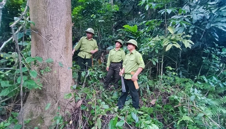 Thanh Hóa giữ rừng dựa vào cộng đồng 