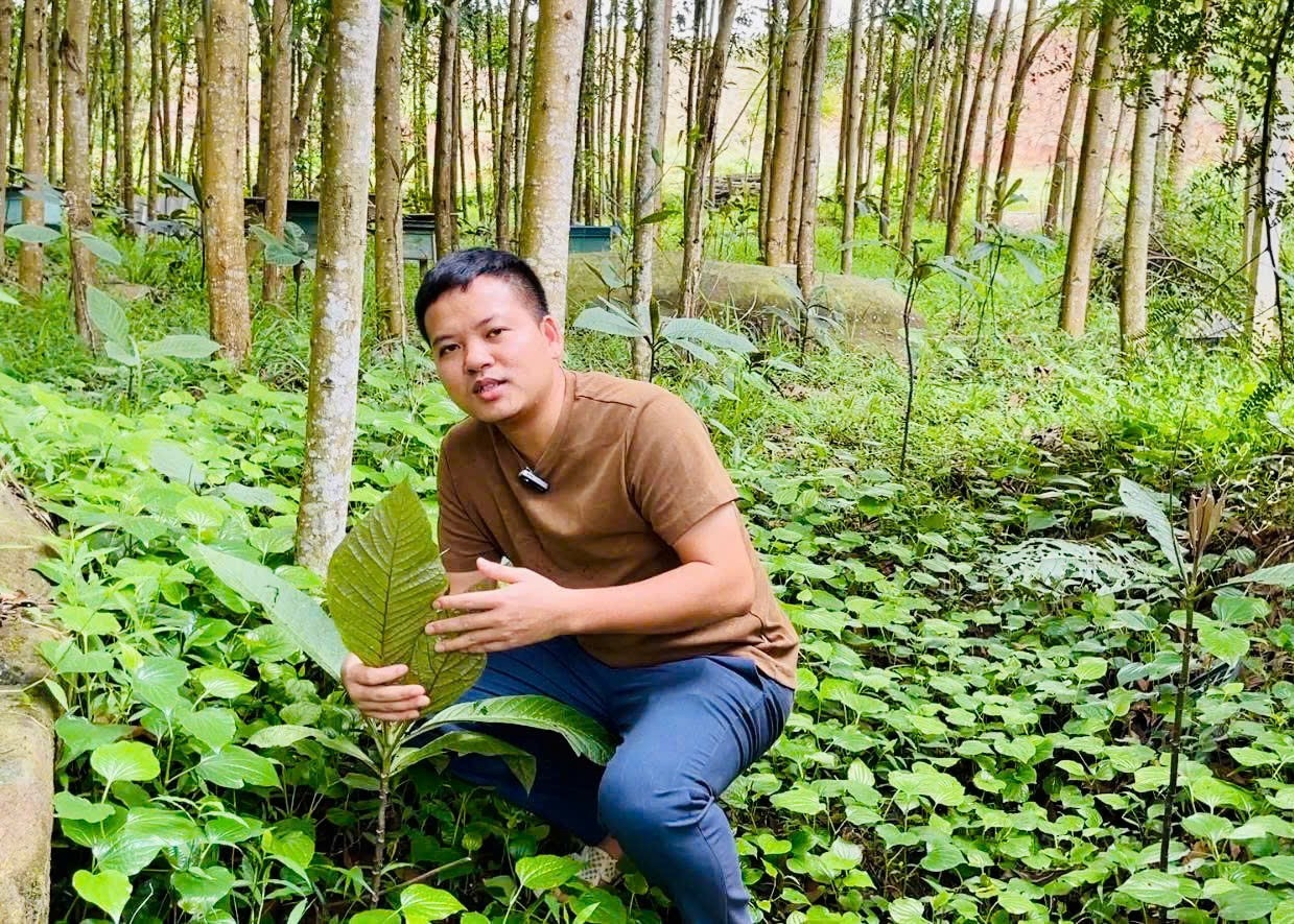 Hợp tác xã nông dược Tĩnh Sáng Đường cung cấp nguồn dược liệu phục vụ cho hoạt động khám chữa bệnh của Bác sĩ Lá Văn Khôi