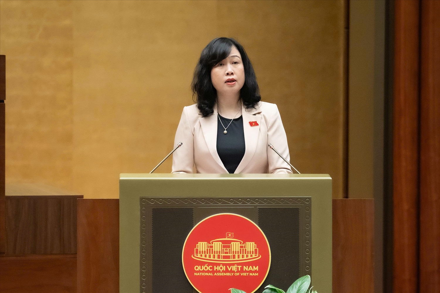 Bộ trưởng Bộ Y tế Đào Hồng Lan trình bày Tờ trình Chủ trương đầu tư Chương trình mục tiêu quốc gia về chăm sóc sức khỏe, dân số và phát triển giai đoạn 2026 - 2035