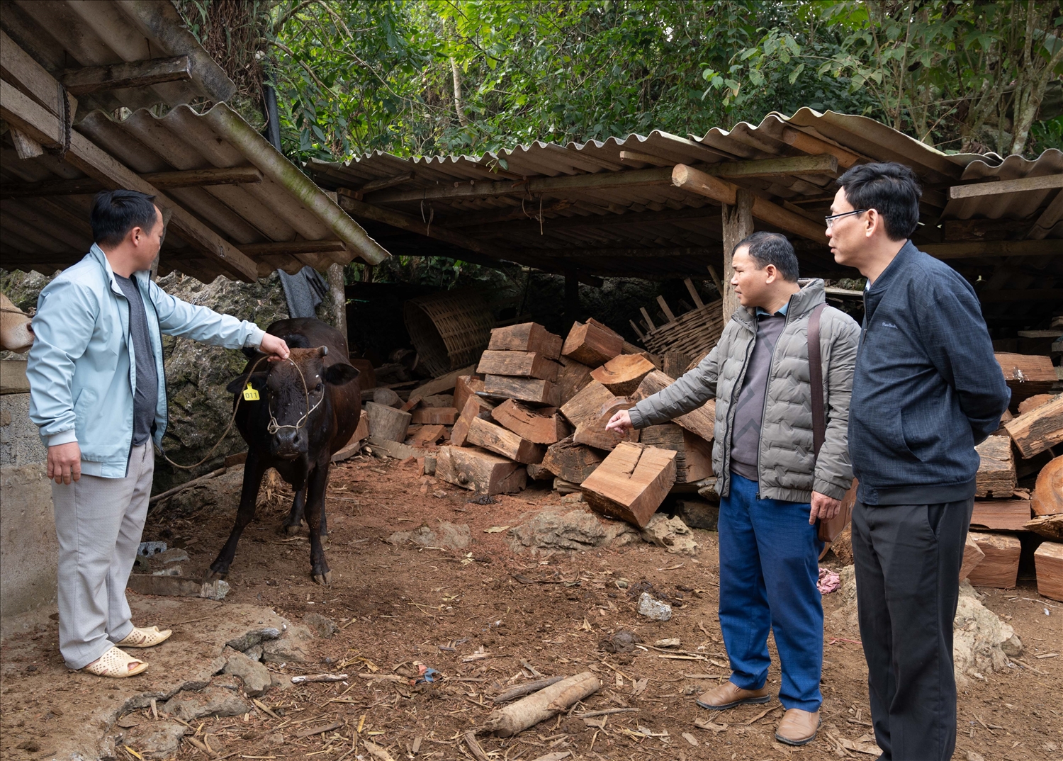 Với nguồn vốn hỗ trợ của 3 chương trình mục tiêu quốc gia, nông dân Tuyên Quang đã mạnh dạn mở rộng sản xuất, nhiều mô hình phát triển sinh kế đã cho thấy hiệu quả