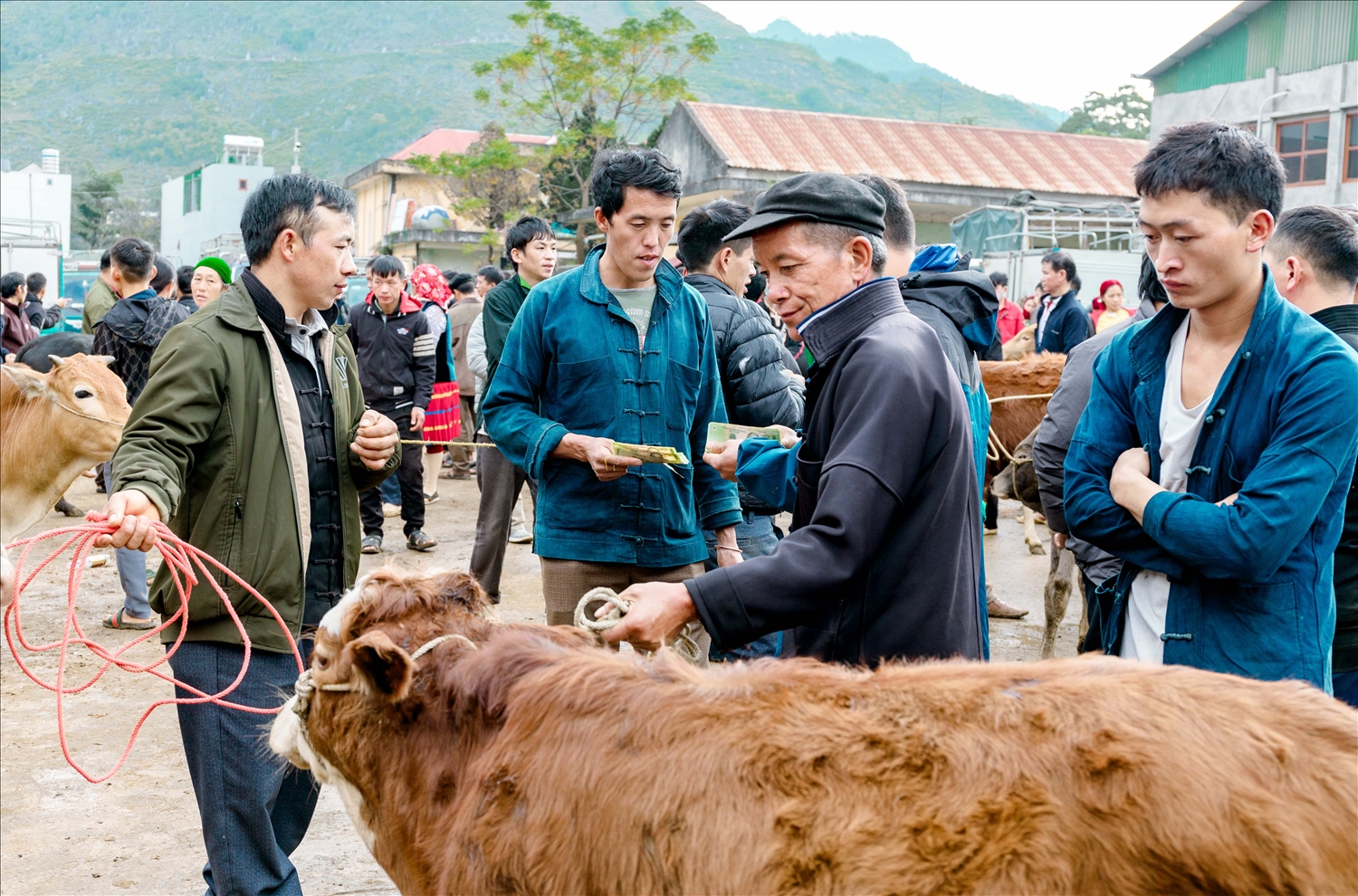Thời gian qua, Quỹ Hỗ trợ nông dân tăng trưởng đều đặn mỗi năm, nâng tổng nguồn vốn lên hơn 76 tỷ đồng, tạo điều kiện cho hơn 1.400 lượt hộ vay phát triển sản xuất