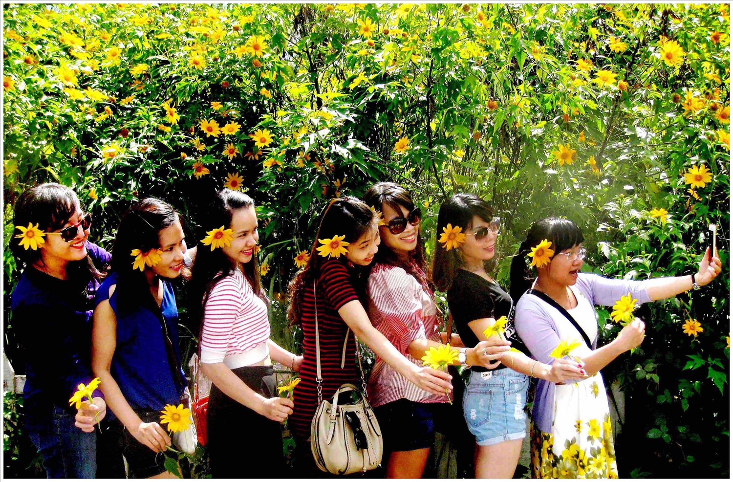 Làm dáng với dã quỳ