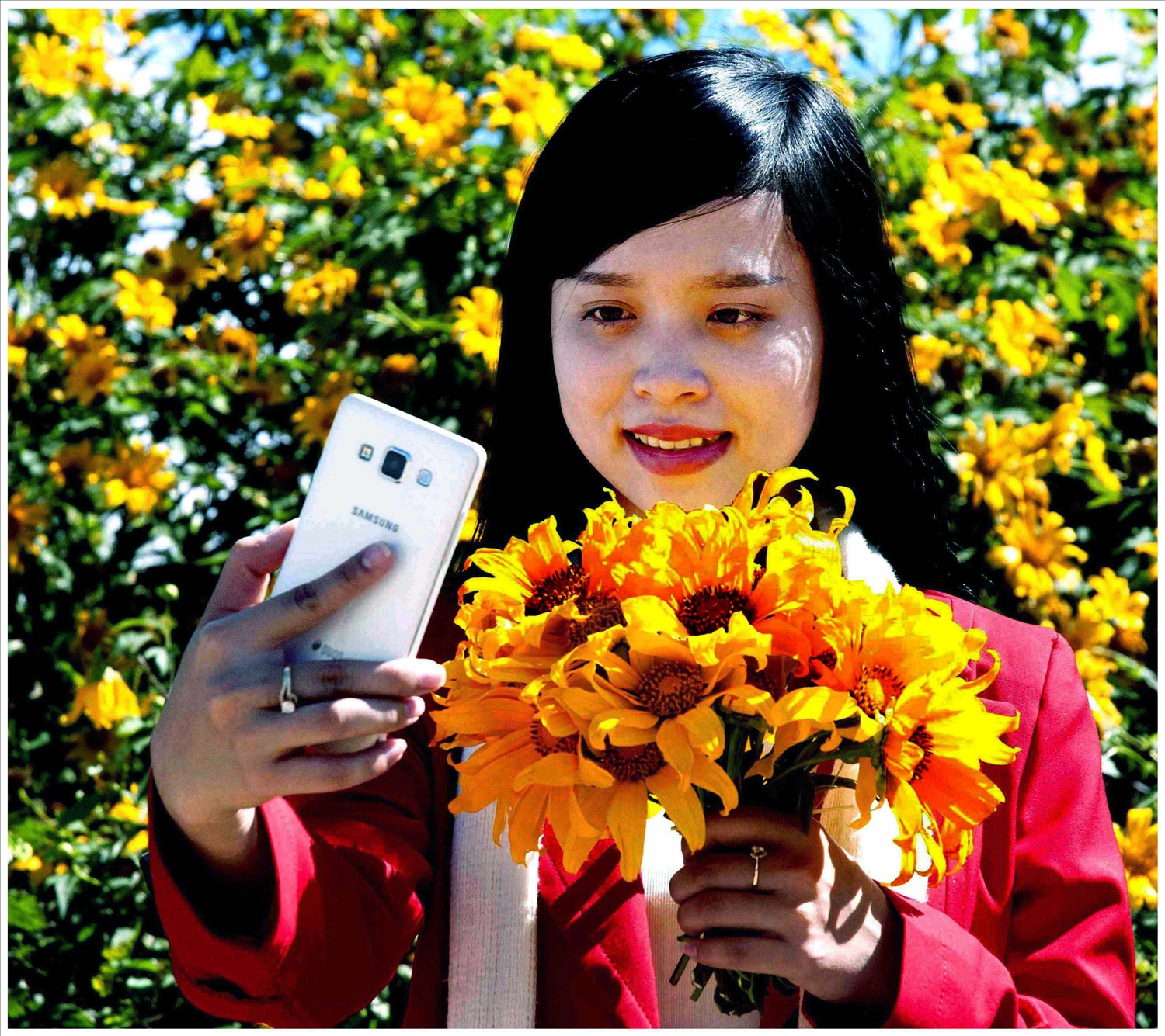 Du khách check in với dã quỳ