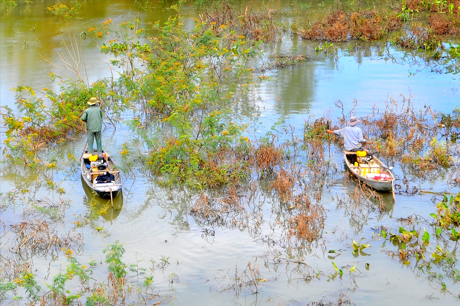 Người dân dùng kích điện bắt cá đoạn sông qua địa phận xã Ngọc Bay, tỉnh Quảng Ngãi.