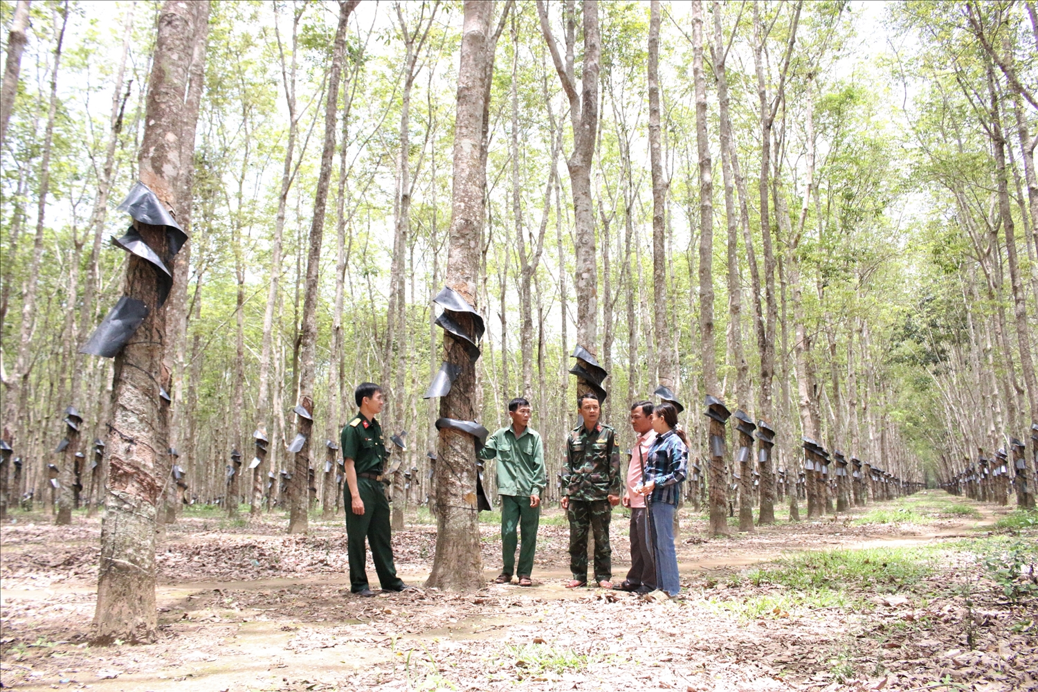 Công ty 732 đã tổ chức kết nghĩa 121 cặp hộ là công nhân người Kinh với hộ người DTTS và họ đã phát huy tinh thần đoàn kết, giúp đỡ nhau trong lao động sản xuất. (Ảnh: Ngọc Chí) 