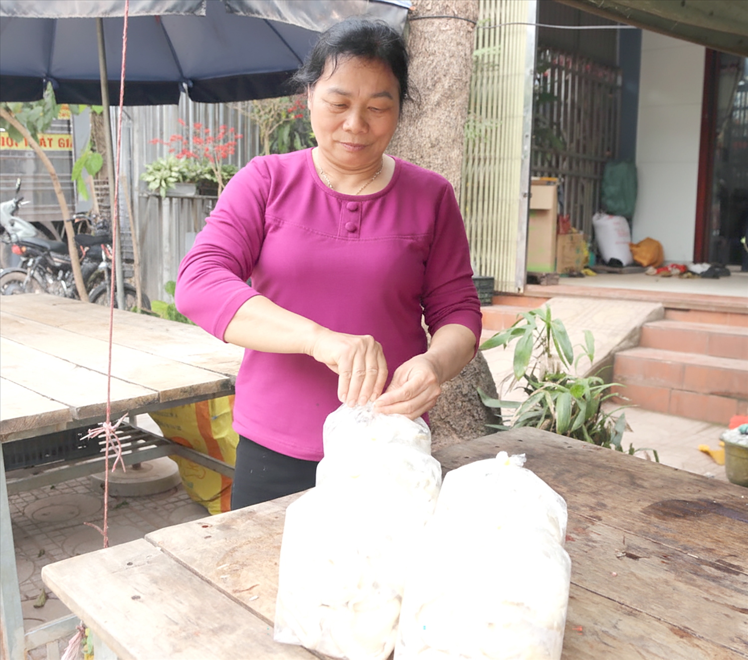 Năm 2024 sản phẩm nấm sò “cô Sinh” đã chính thức được công nhận đạt chuẩn OCOP 3 sao