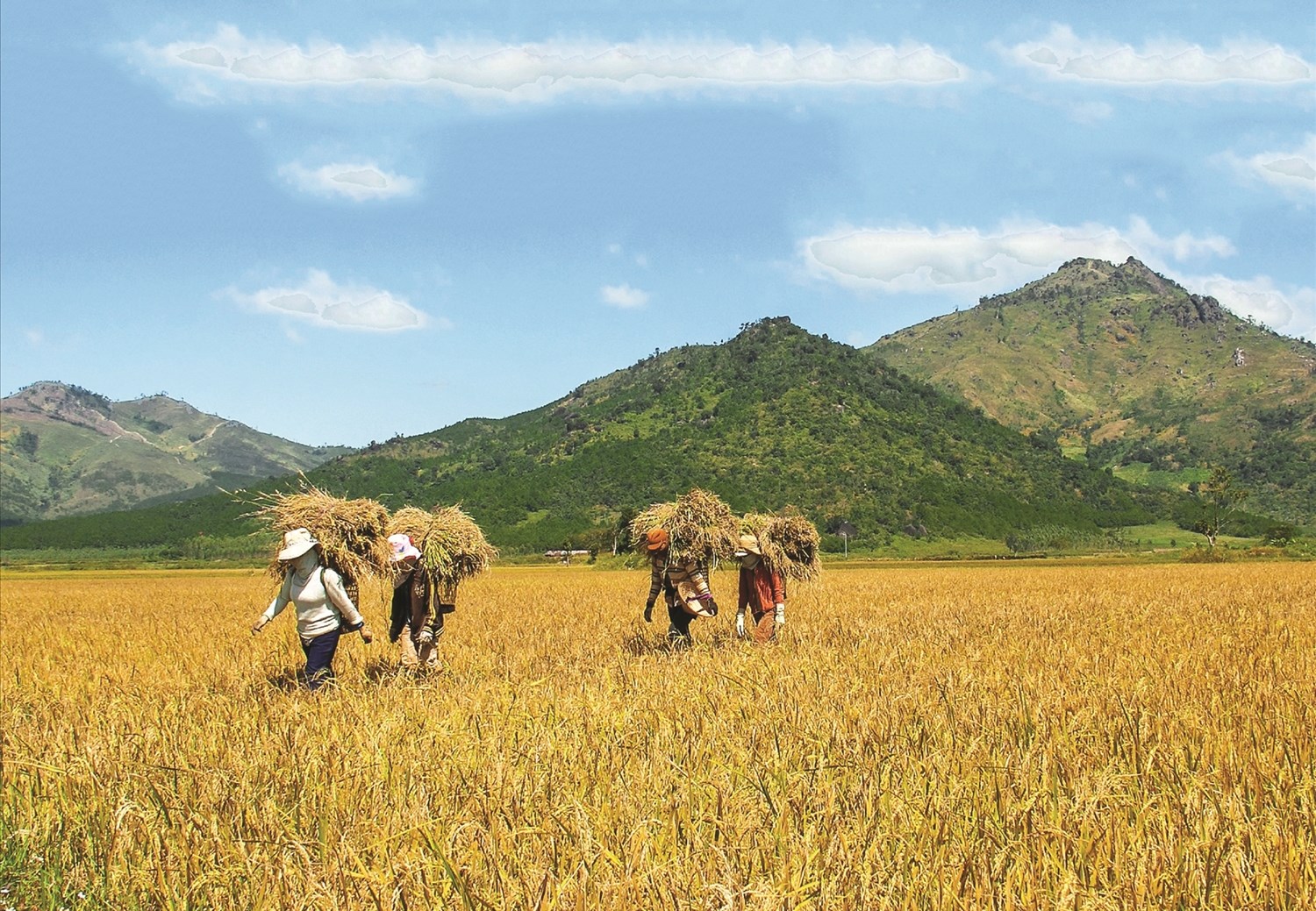 Năm nay, Plei Kép rất vui vì dân làng được vụ mùa bội thu, cả buôn làng ai nấy đều mừng rỡ