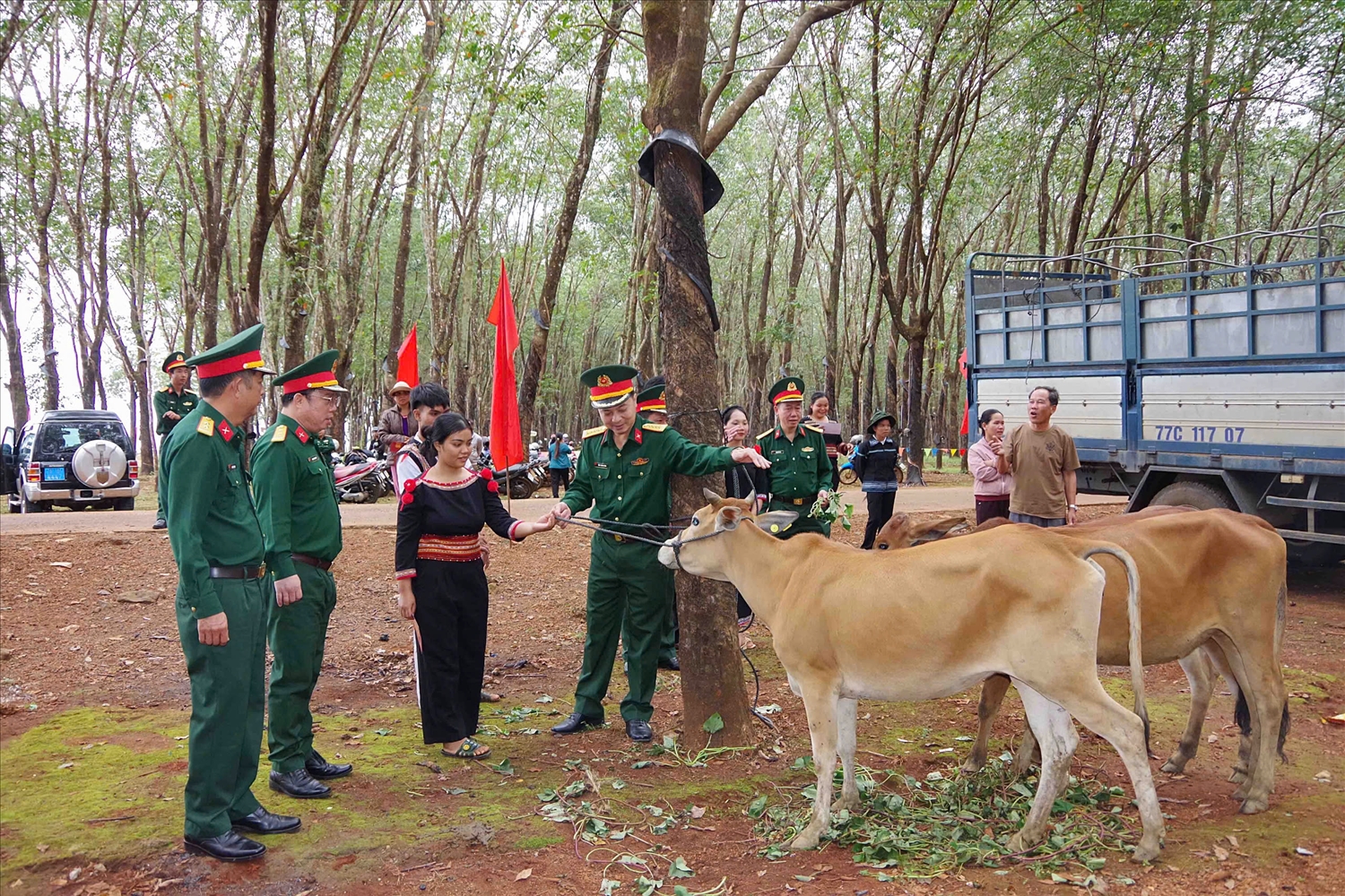 Lãnh đạo Đoàn Kinh tế - Quốc phòng 715 bàn giao bò giống sinh sản cho người dân