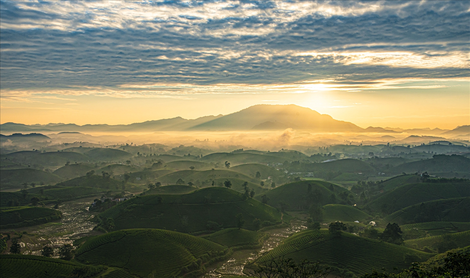 Quang cảnh Long Cốc mờ ảo trong sương khói buổi sáng sớm. Những đồi chè bát ngát được bao phủ bởi làn sương mỏng dâng lên từ thung lũng xen lẫn ánh nắng vàng dịu buổi sáng