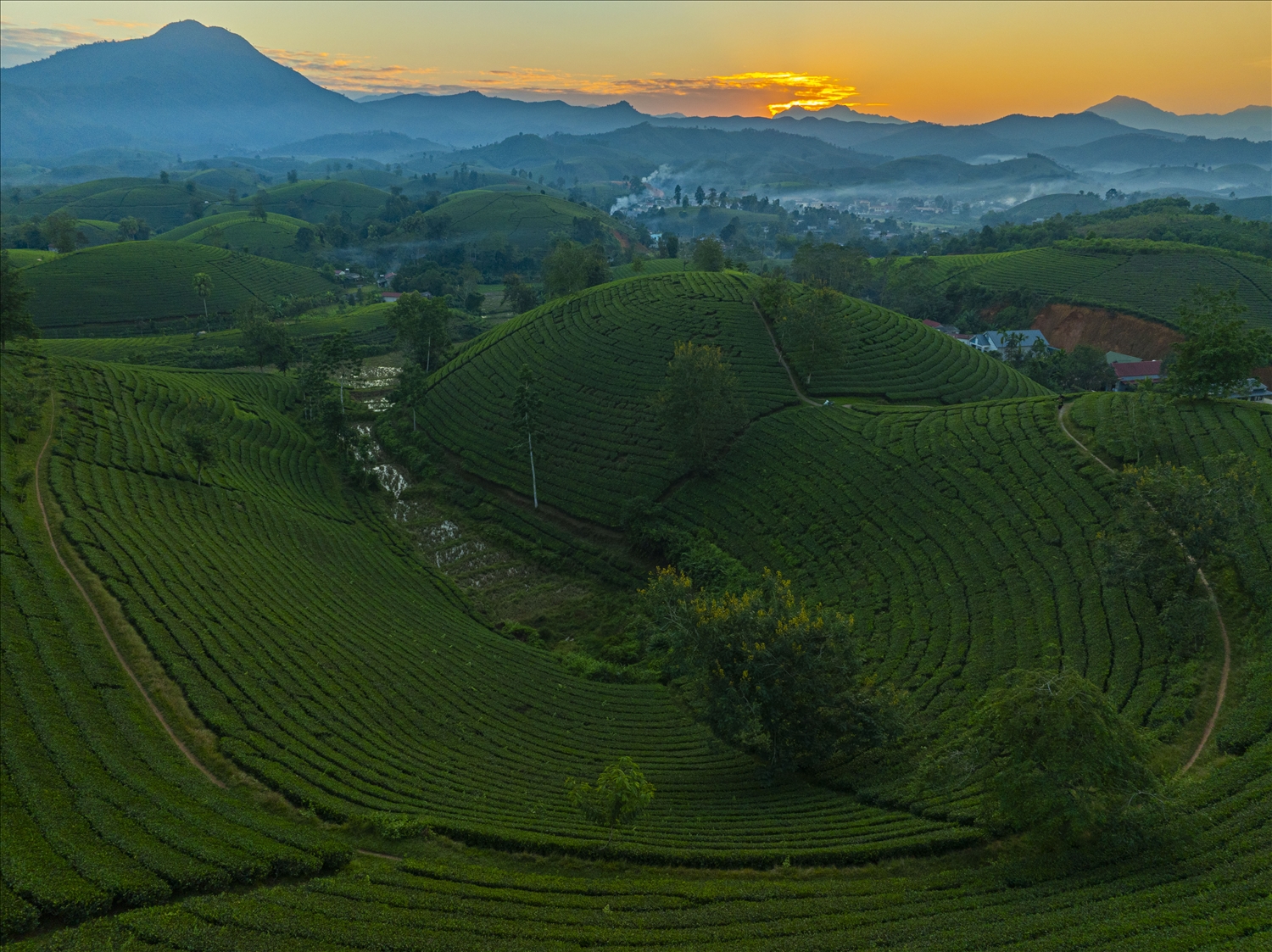 Khung cảnh Long Cốc về chiều, ánh hoàng hôn buông xuống phản chiếu trên đồi chè. Bầu trời chuyển dần từ màu vàng sang màu cam, hồng và tím, tạo nên một bức tranh thiên nhiên nhiều màu sắc 