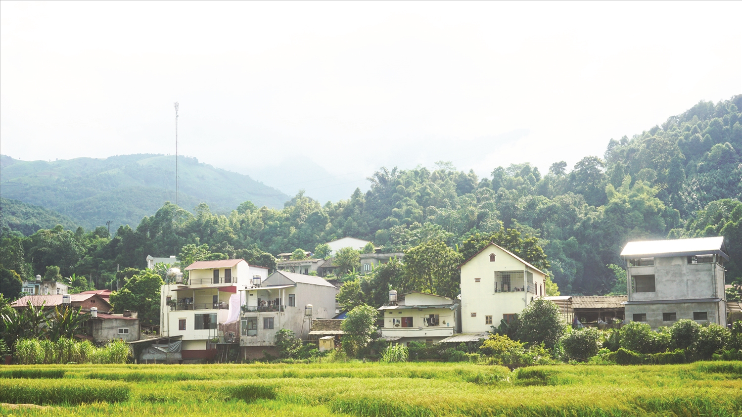 Tân Bảo đang đổi thay từng ngày