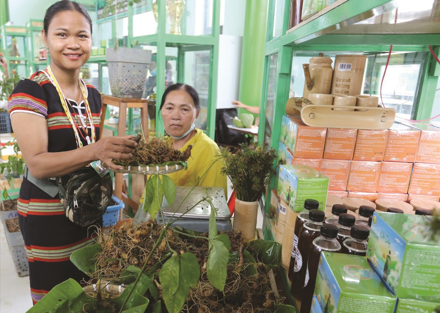 Chị Hồ Thị Mười là gương điển hình trong làm kinh tế trên vùng đất sâm Ngọc Linh. Ảnh Huy Trường