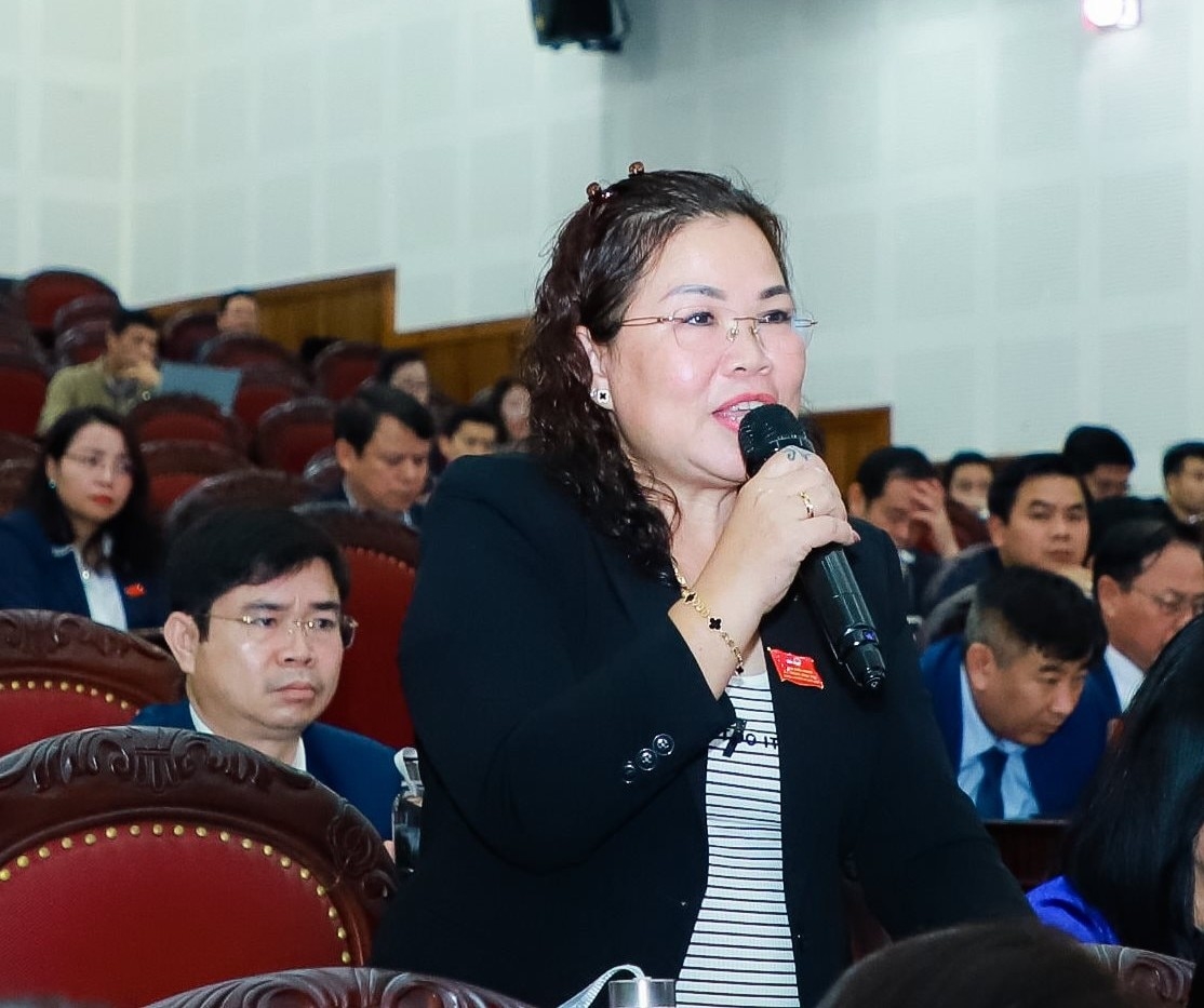 Đại biểu Nguyễn Thị Thúy An phát biểu thảo luận về Dự thảo Nghị quyết trình Kỳ họp