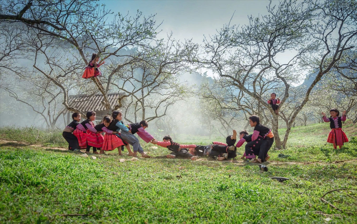Phát huy vai trò của cơ quan quản lý Nhà nước về công tác dân tộc trong thực hiện Chương trình mục tiêu quốc gia 3