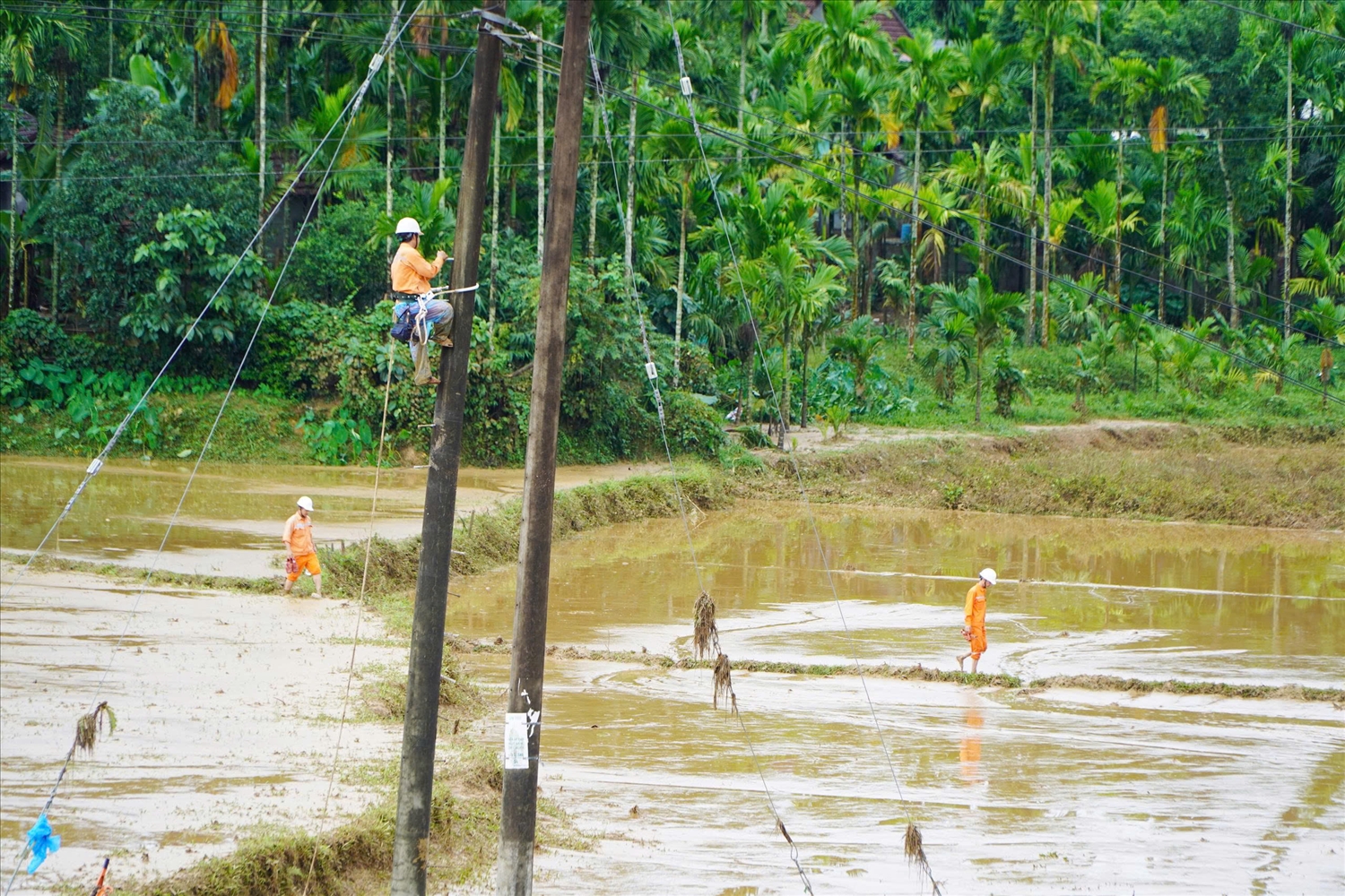 PC Quảng Ngãi tập trung khôi phục lưới điện tại khu vực bị ảnh hưởng do mưa lũ. (Ảnh: PC Quảng Ngãi)