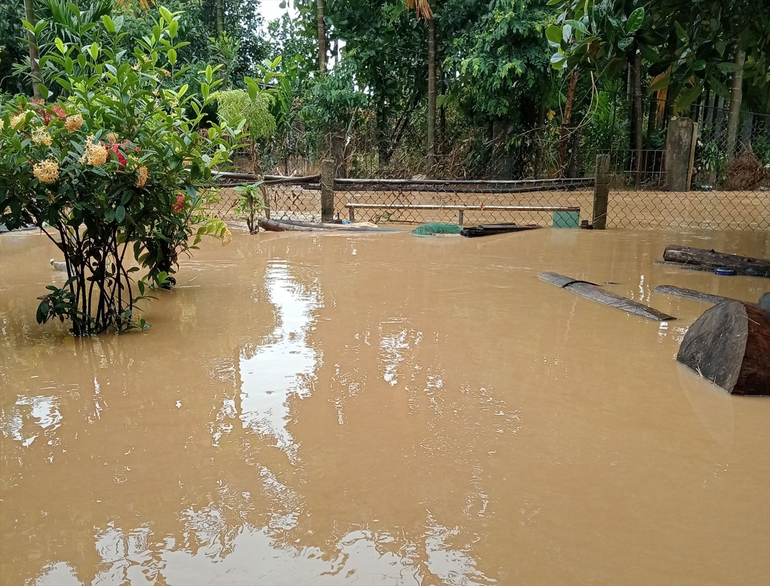 Hiện nay nước đang tiếp tục lên nhanh. (Ảnh Huy Trường)