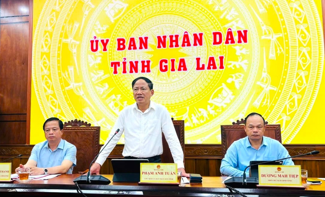Ông Phạm Anh Tuấn, Chủ tịch UBND tỉnh Gia Lai yêu cầu các sở ngành, địa phương khẩn trương triển khai các biện pháp chống bãoKalmaegi. (Ảnh: T.N)