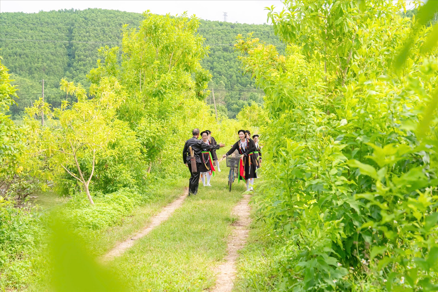 Nhiều hoạt động trải nghiệm độc đáo 