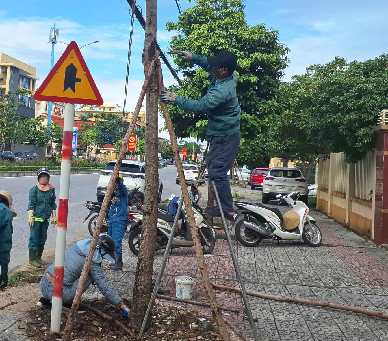 Cây xanh trên các tuyến phố ở phường Đồng Hới được cắt tỉa, chằng chống trước bão số 13 (Ảnh: Phạm Tiến)