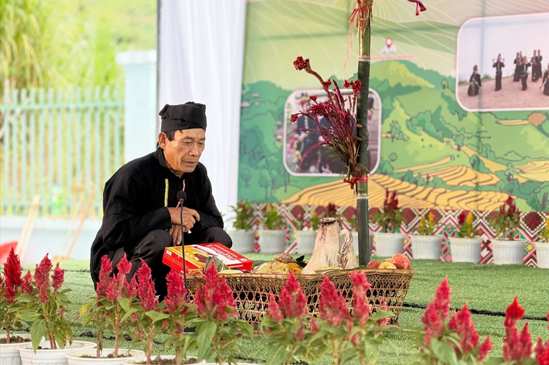 Hoa mào gà là vật không thể thiếu trong mâm cúng 