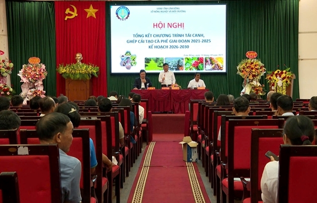 Quang cảnh Hội nghị Tổng kết Chương trình tái canh, ghép cải tạo cà phê giai đoạn 2021-2025 tại Lâm Đồng