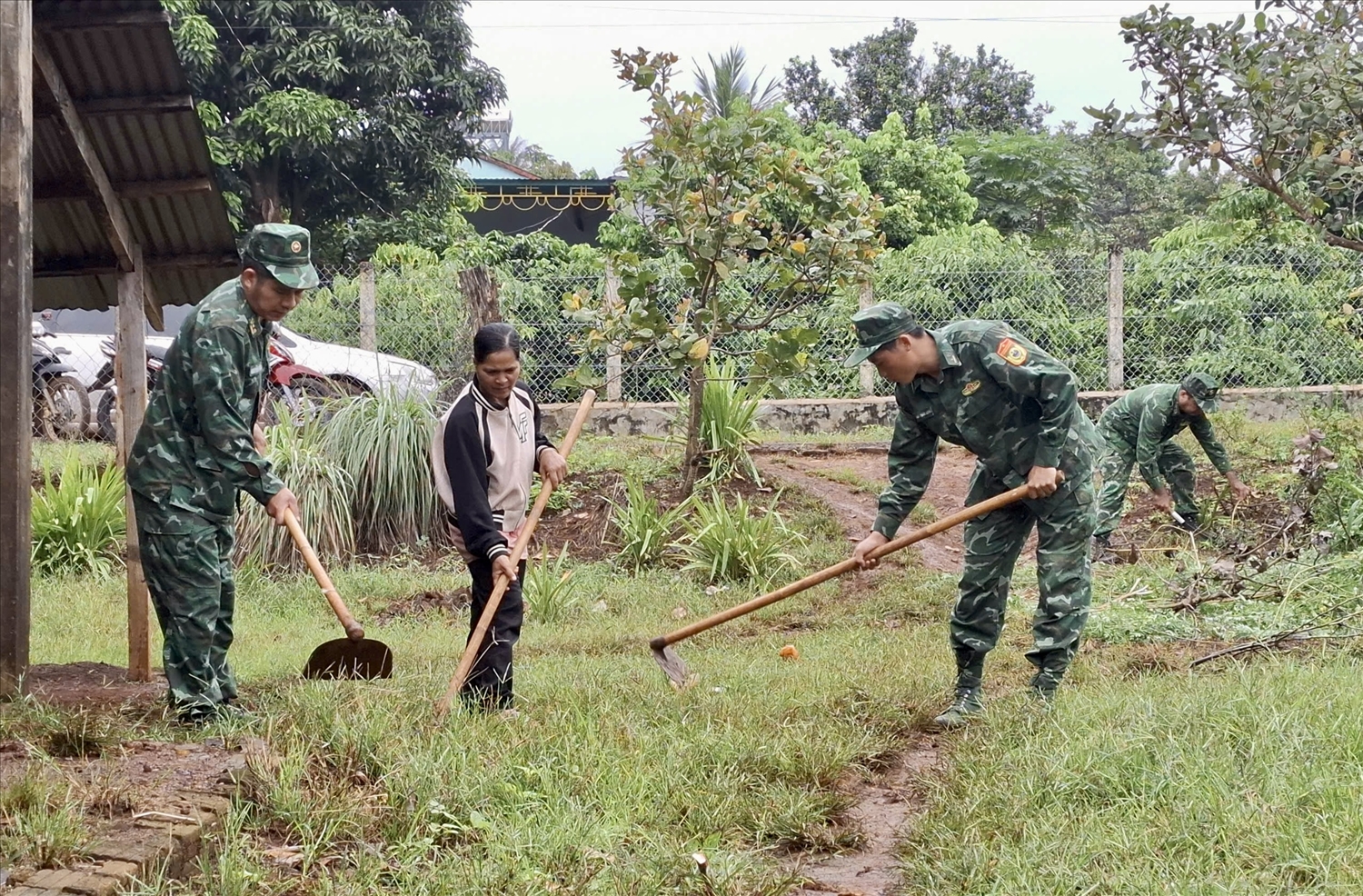 Cán bộ, chiến sĩ Đồn Biên phòng Ia Pnôn giúp người dân nghèo vệ sinh vườn, hướng dẫn chăm sóc cây trồng đạt năng suất