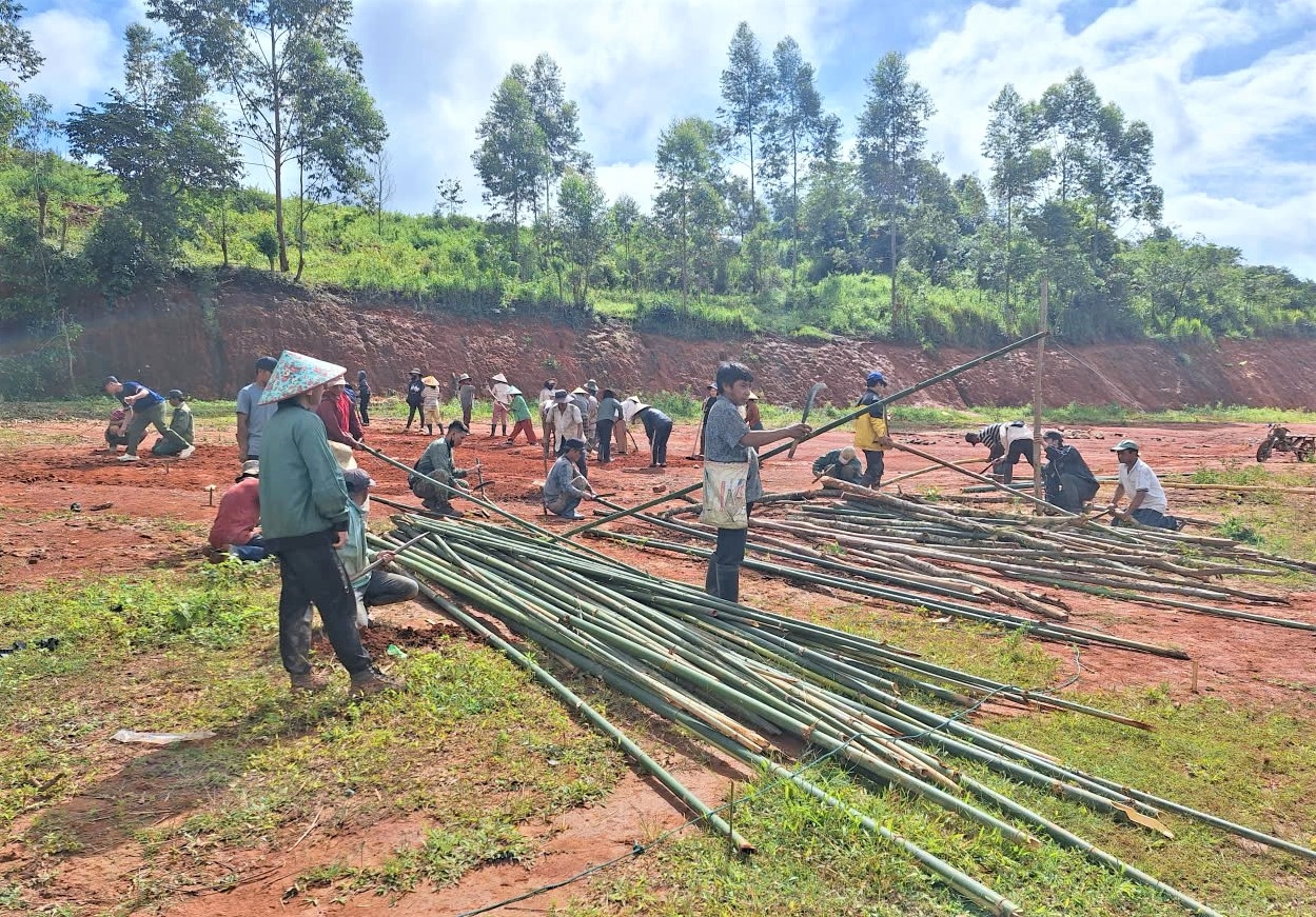 Đồng bào Xơ Đăng ở làng Kon Pia chuẩn bị vật liệu làm lán che cho vườn ươm cây giống cà phê. (Ảnh: Ngọc Chí)
