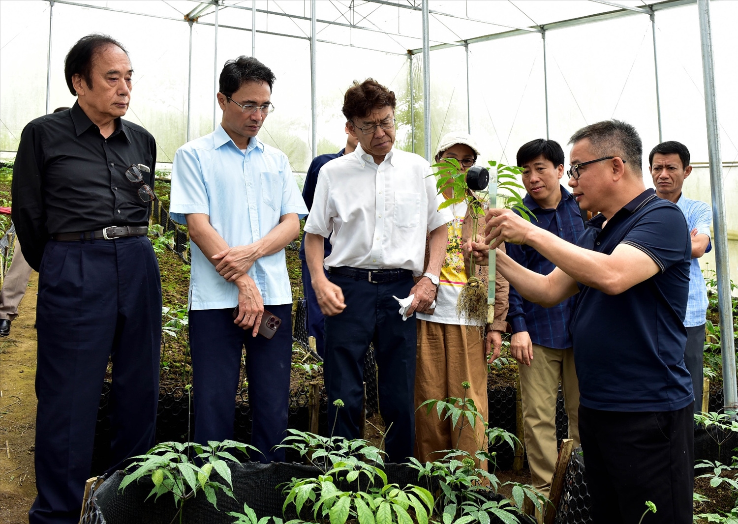 Lãnh đạo Công ty Cổ phần Sâm Pusilung giới thiệu về quá trình hợp tác và triển khai trồng sâm theo tiêu chuẩn Nhật Bản.