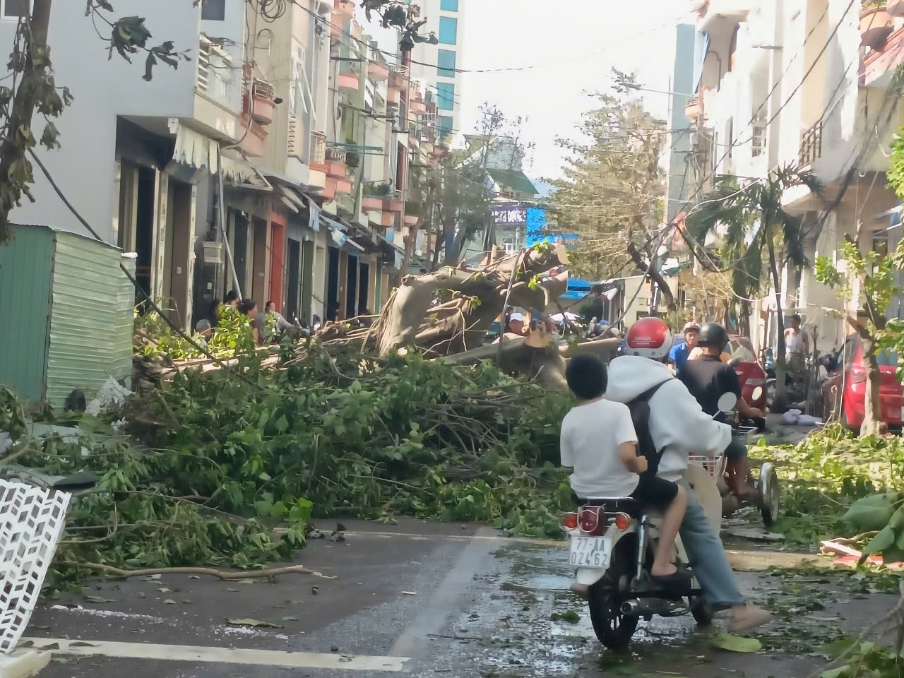 Cây cối ngã đổ la liệt trong khu dân cư. (Ảnh Lê Phương)