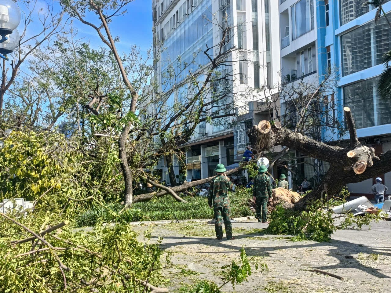 Cây cối ngã đổ la liệt trên đường ở Quy Nhơn. (Ảnh Lê Phương)