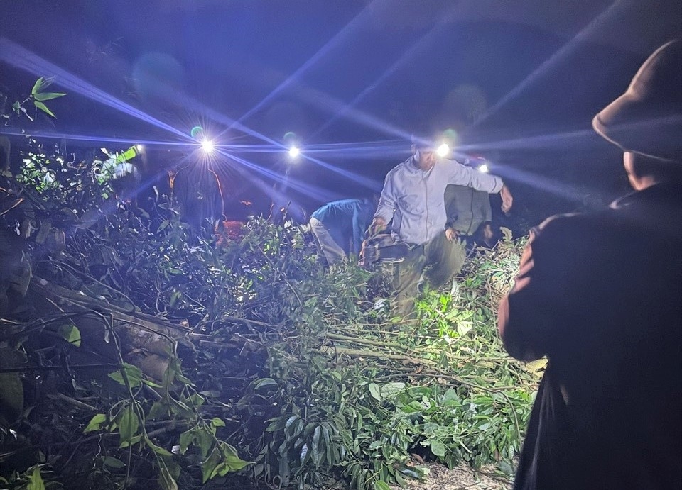 Lực lượng chức năng xã Ngọk Réo triển khai cắt dọn cây xanh bị gãy đổ, đảm bảo an toàn cho người tham gia giao thông. (Ảnh: Ngọc Chí)