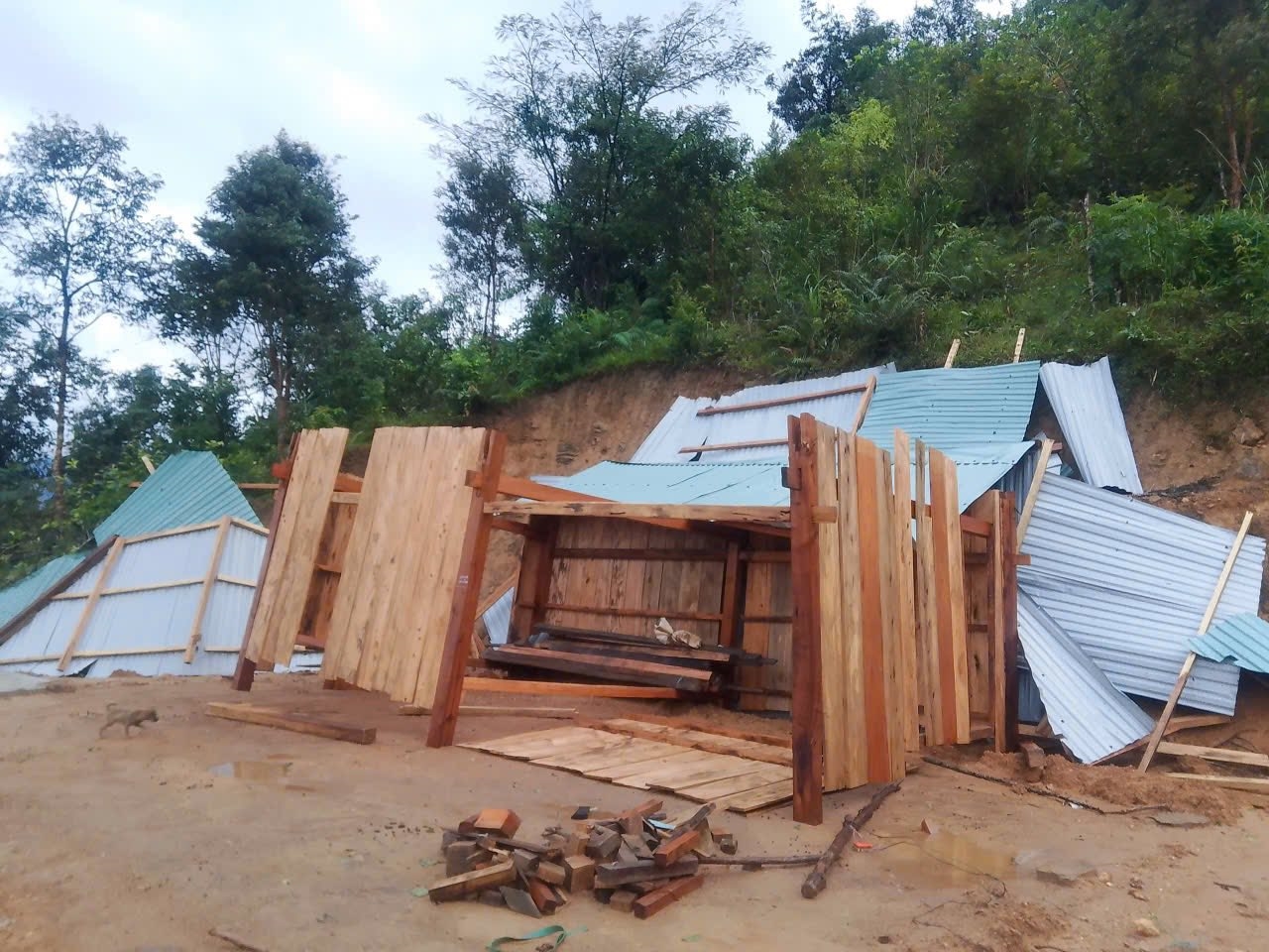 Bão số 13 gây thiệt hại nặng ở xã miền núi Trà Tập. (Ảnh Trà Vương)