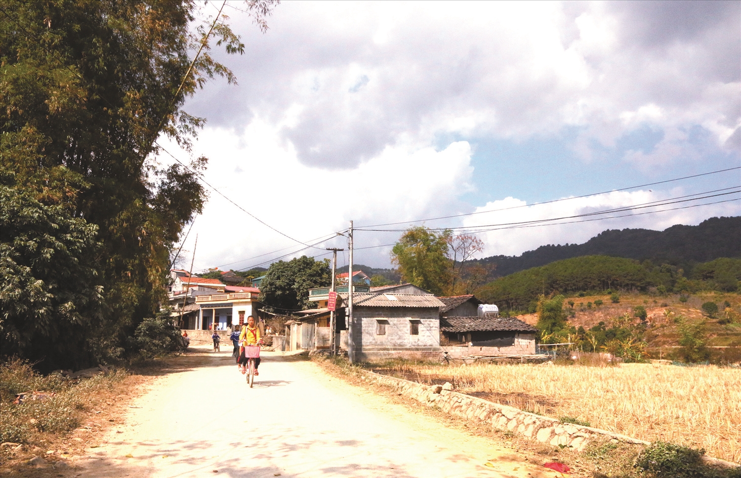 Việc sắp xếp cơ sở giáo dục là cần thiết, nhưng cần đảm bảo sự đồng bộ