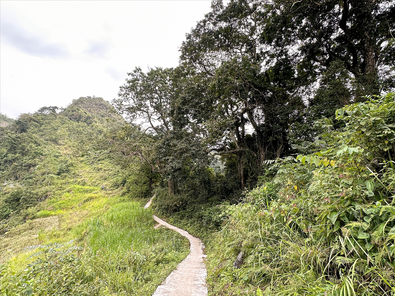 Đường lên thôn Tả Xáy, xã Xuân Trường, tỉnh Cao Bằng.